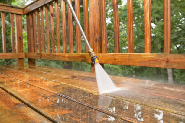 Best Solar Panel Cleaning  in Marshall, WI